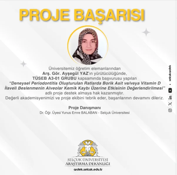 2026 yılı TÜSEB AR-GE Proje Başarısı